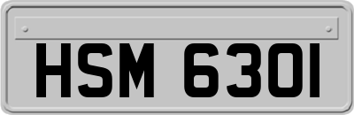 HSM6301