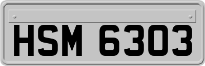 HSM6303