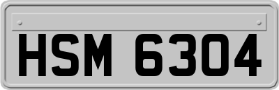 HSM6304