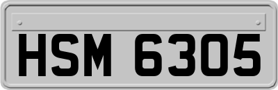 HSM6305