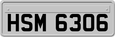 HSM6306