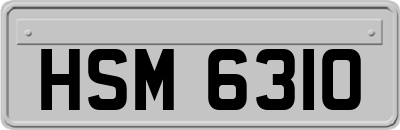HSM6310