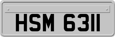 HSM6311