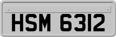 HSM6312