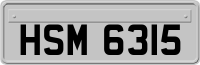 HSM6315