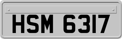 HSM6317