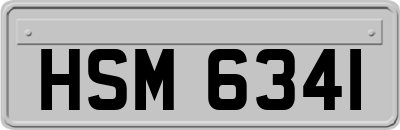 HSM6341
