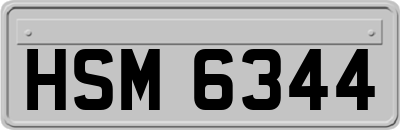 HSM6344