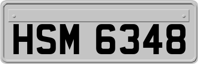 HSM6348