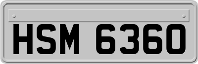 HSM6360