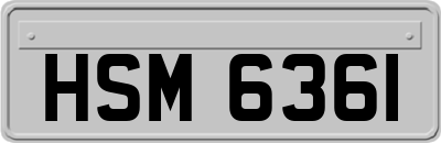 HSM6361