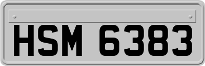 HSM6383