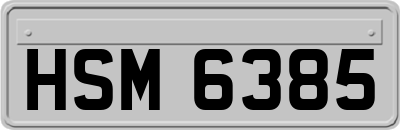 HSM6385
