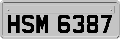 HSM6387
