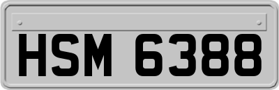 HSM6388