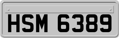 HSM6389