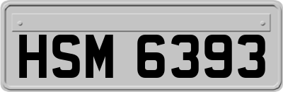 HSM6393