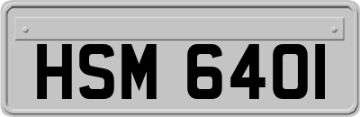 HSM6401