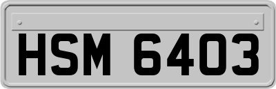 HSM6403