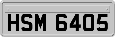 HSM6405