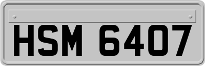 HSM6407