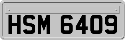 HSM6409