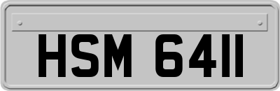 HSM6411