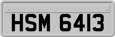 HSM6413