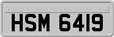 HSM6419