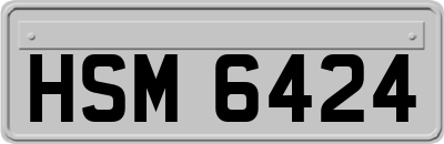 HSM6424