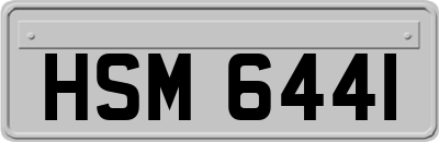 HSM6441