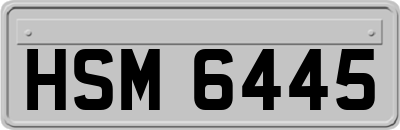 HSM6445