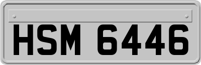 HSM6446