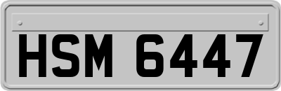 HSM6447