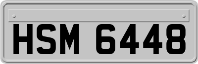 HSM6448