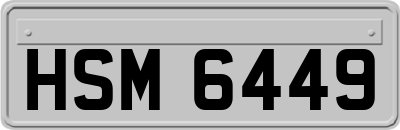 HSM6449