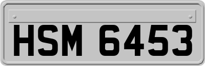 HSM6453