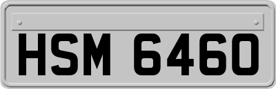 HSM6460