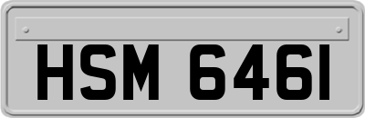 HSM6461