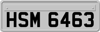 HSM6463