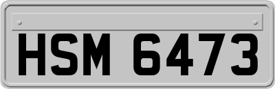 HSM6473