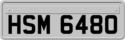 HSM6480