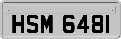HSM6481