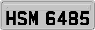 HSM6485