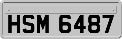 HSM6487