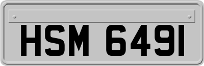 HSM6491