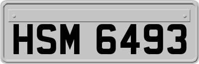 HSM6493