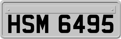 HSM6495