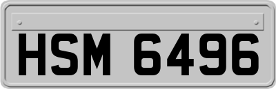 HSM6496