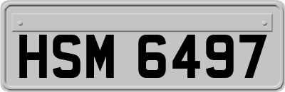 HSM6497